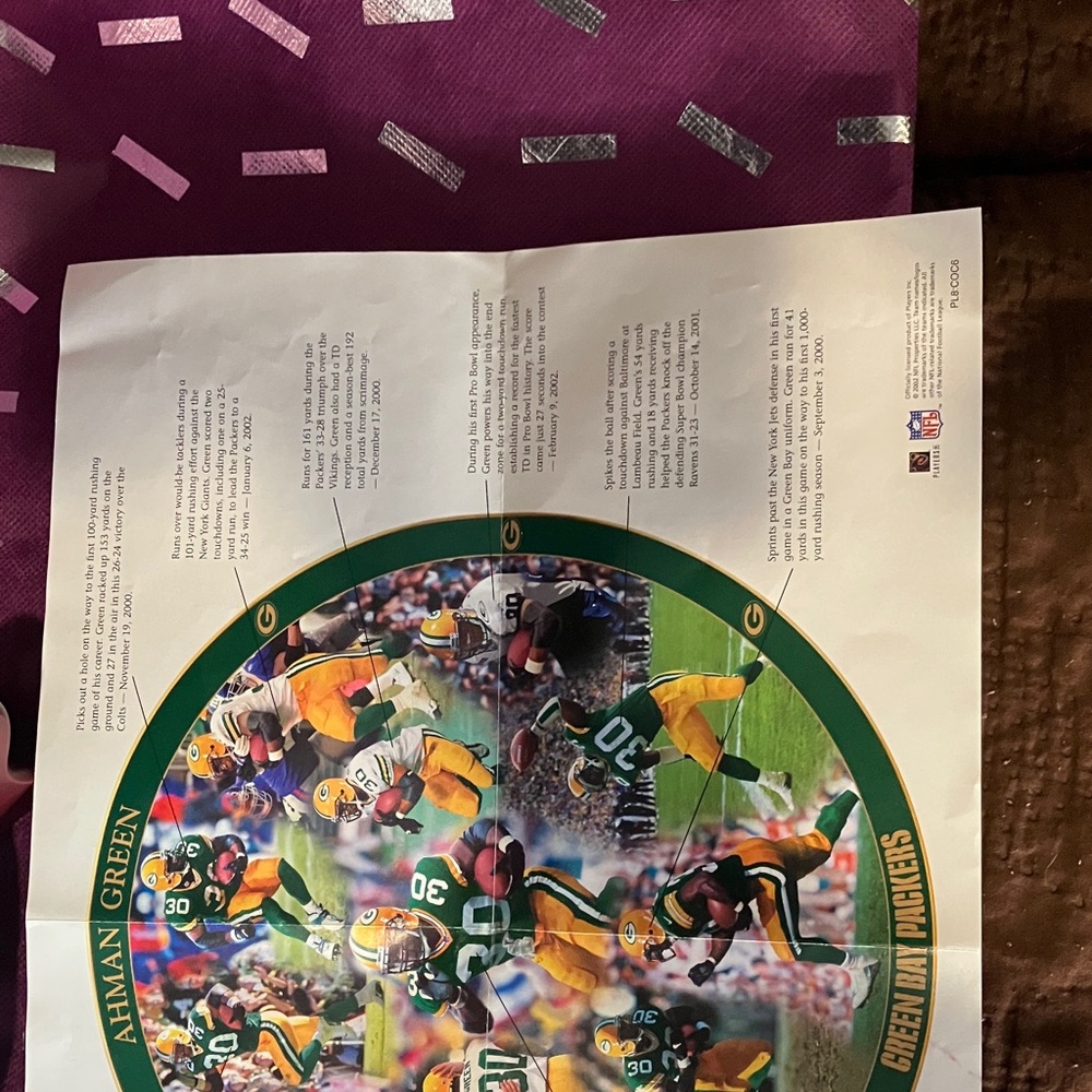 Danbury Mint Green Bay Packers Collector's Plate - Green and Yellow - Picture 5 of 5